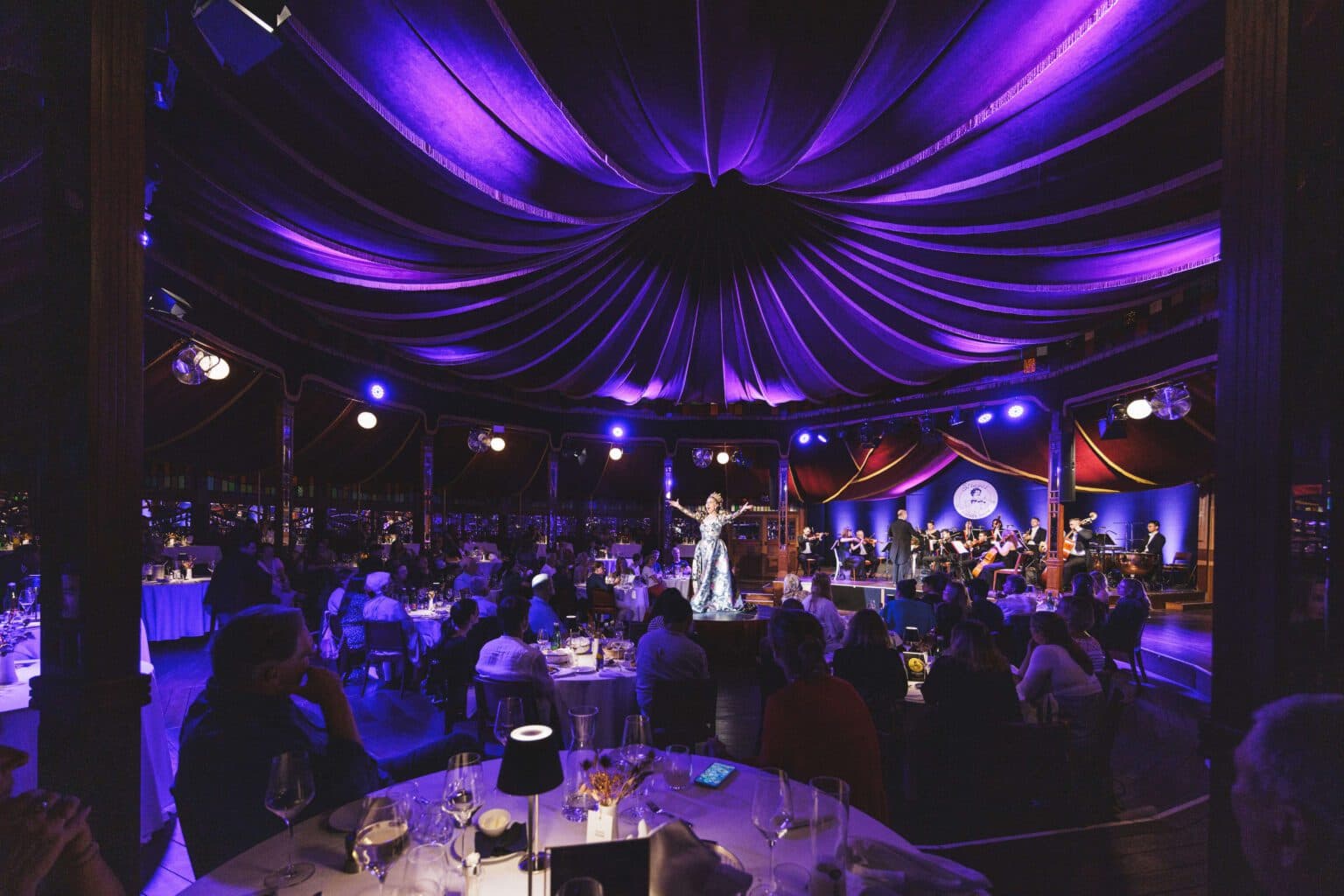 Private Strauss Dinner Show